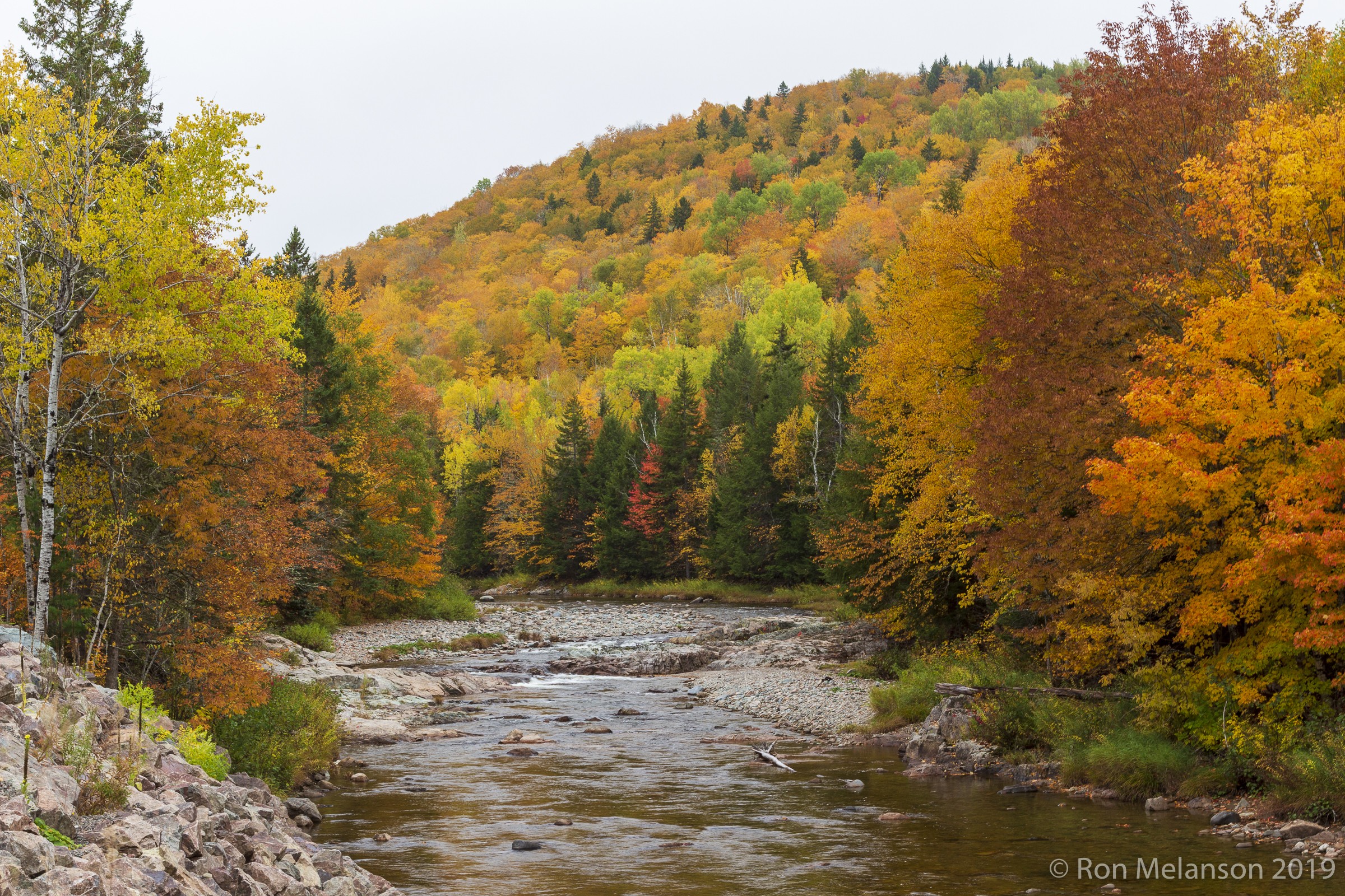 Fall colours by New Brunswick river